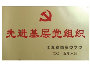 2015天泓凱帝先進基層黨組織（國資委）