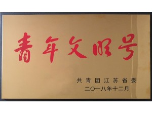 2018天泓標(biāo)遠(yuǎn)青年文明號(hào)
